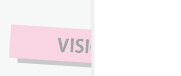 VISION
